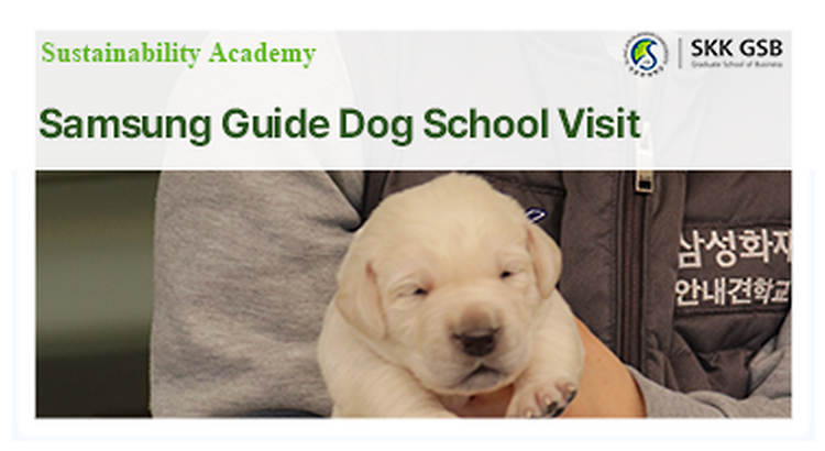 Sustainability Academy: Samsung Guide Dog School Visit